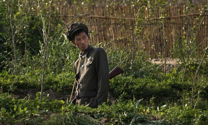North Korean Soldiers Raiding Farms After Food Provisions Cut
