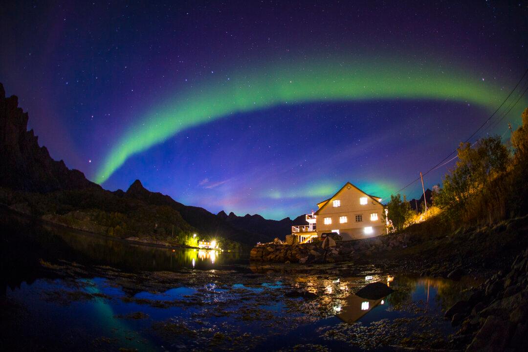 Nature’s Free Light Show