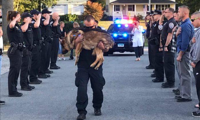 Police Dog Gets Emotional Farewell Before Being Euthanized