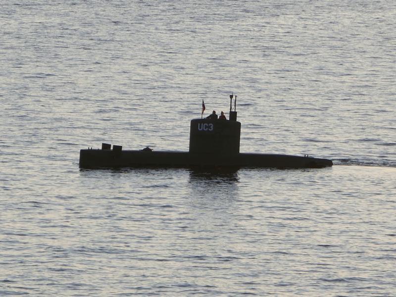 ‘Suicidal’ Danish Submarine Owner Says Journalist Killed by Hatch Cover