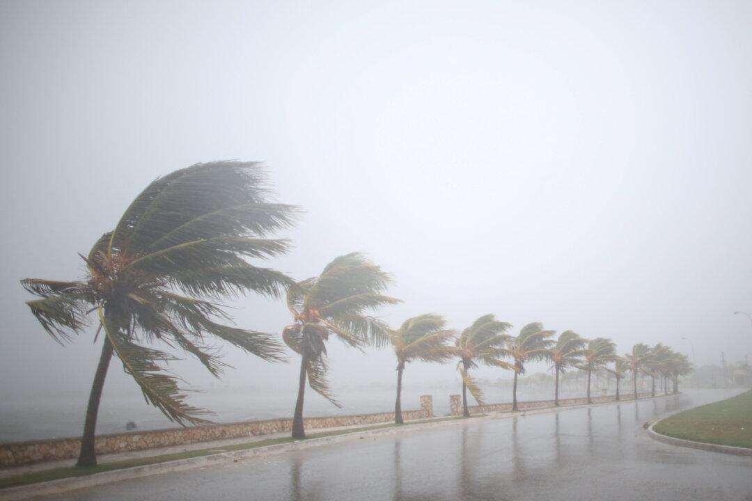 You Can Watch Live Hurricane Irma Coverage on These 16 Local TV Streams