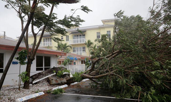51-Year-Old Florida Man Electrocuted to Death During Hurricane Irma
