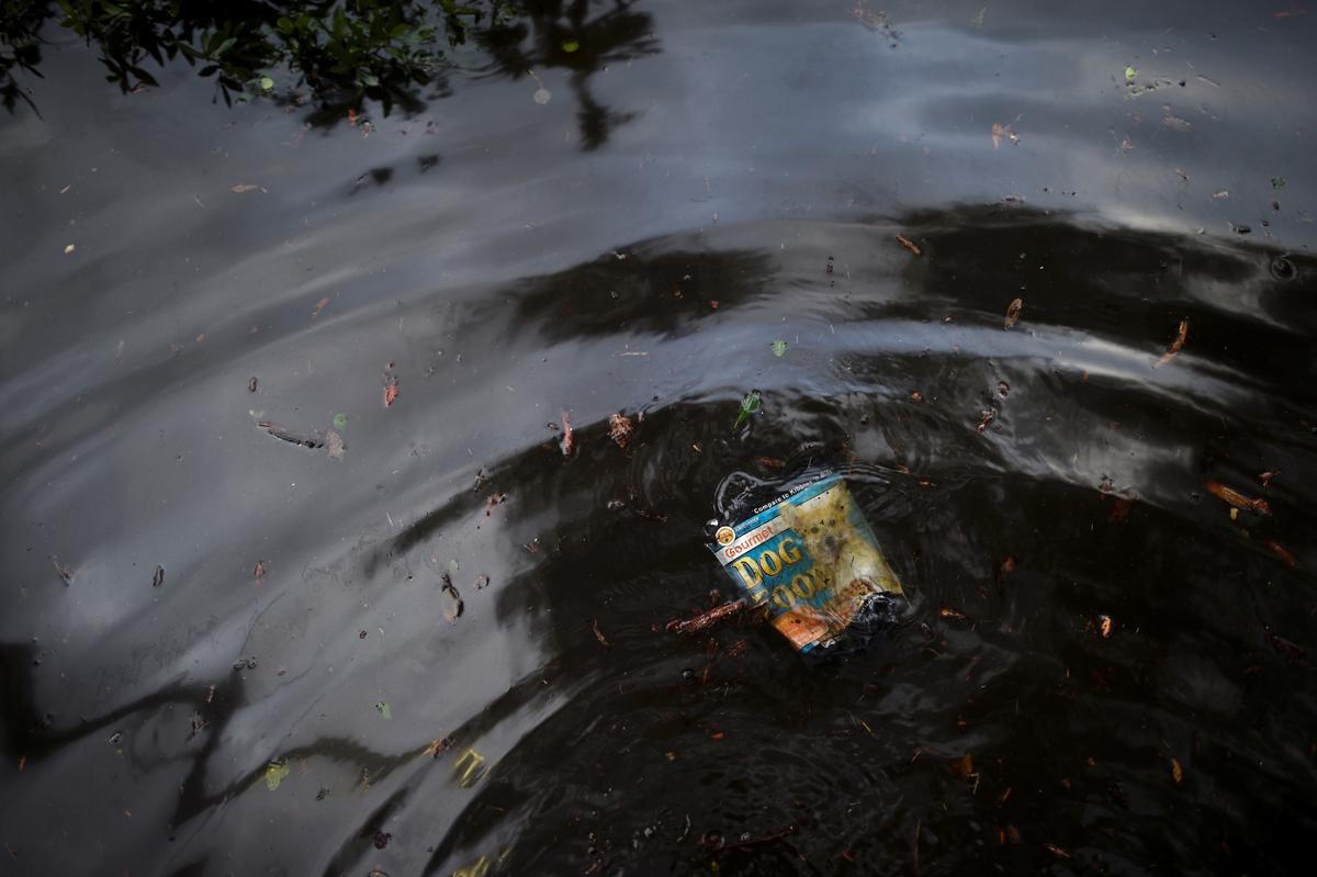 A bag of dog food floats through flood waters after Hurricane Irma in Jacksonville, Florida, on Sept. 11, 2017. (Mark Makela/Reuters)