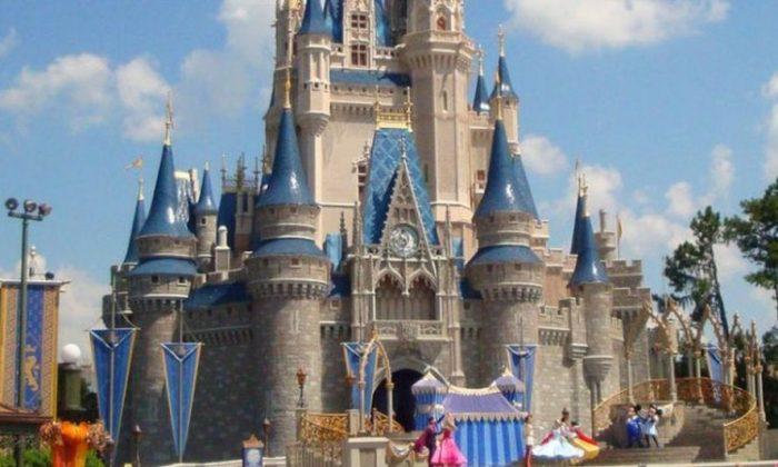 Disney World Reopens After Irma, People Share Photos of Damage