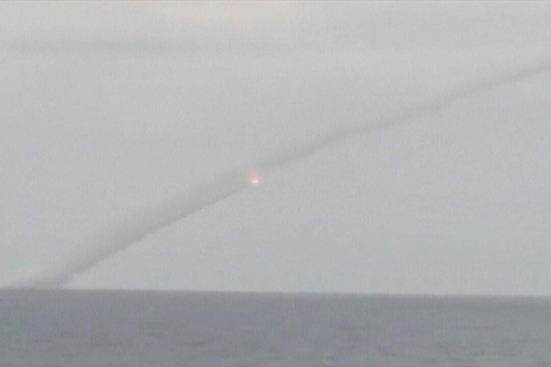 Russia Fires Missiles at Terrorist Group in Syria, Hits Targets: Defense Ministry