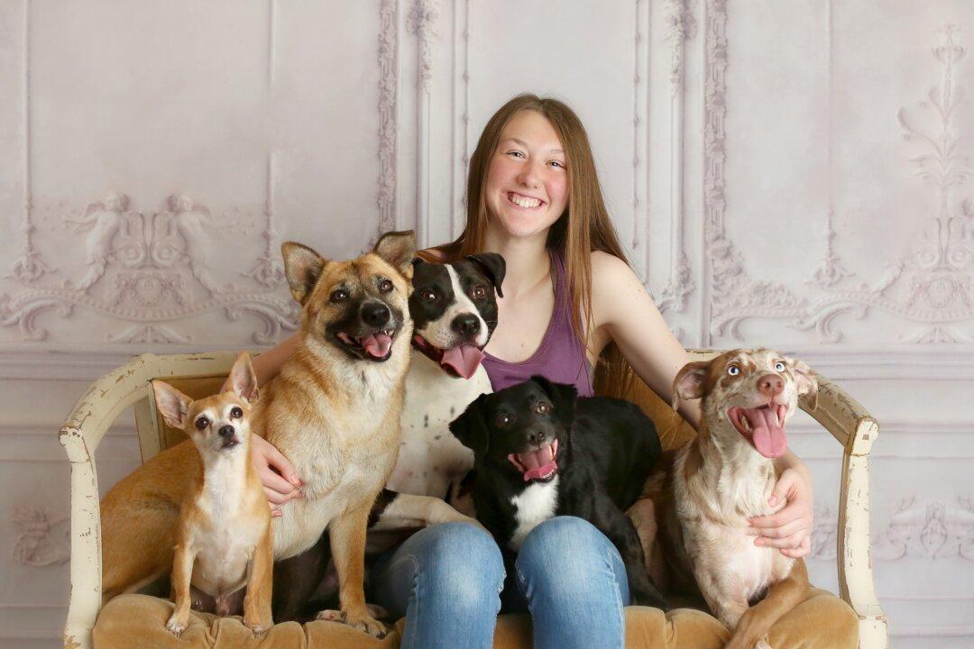 Teenager Goes to Extraordinary Lengths to Save Dying Dogs