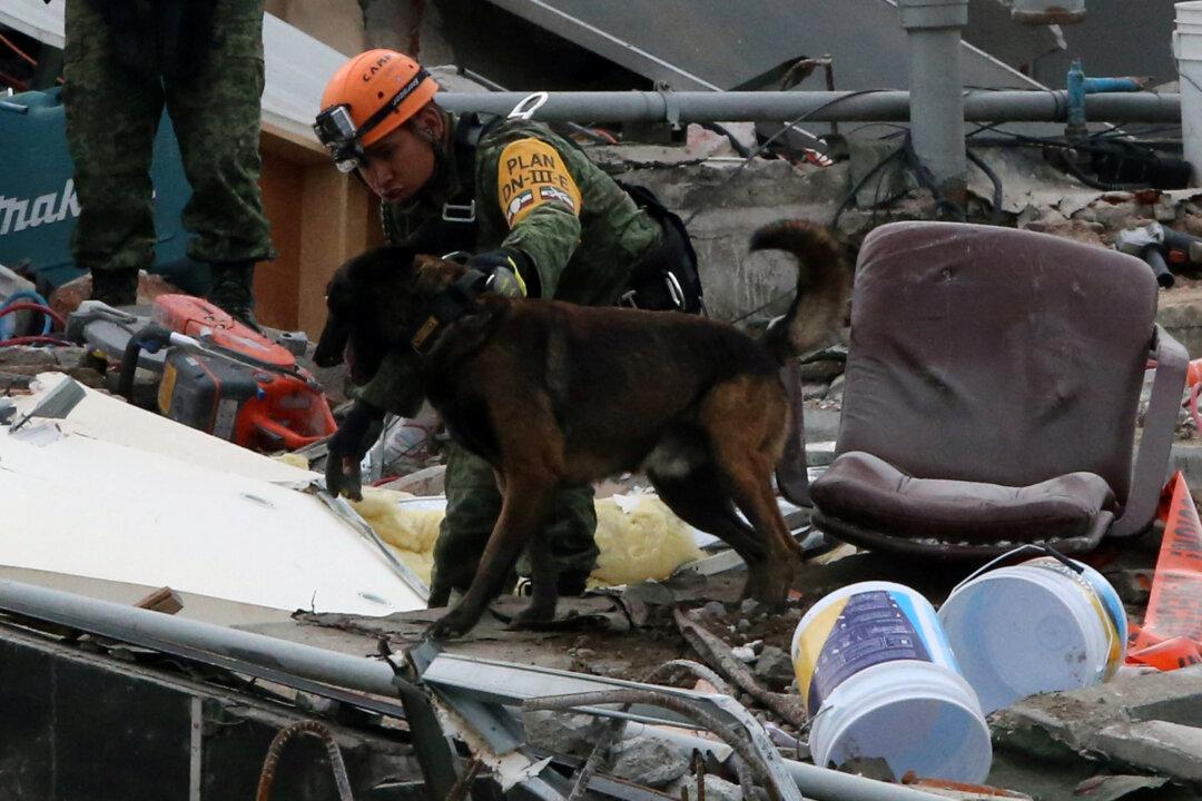 Latest Mexico Quake Spreads Alarm, Some Rescue Efforts Suspended