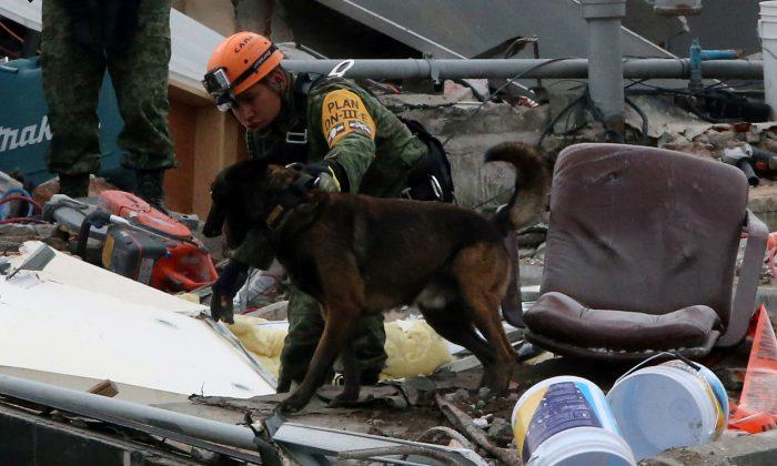 Latest Mexico Quake Spreads Alarm, Some Rescue Efforts Suspended