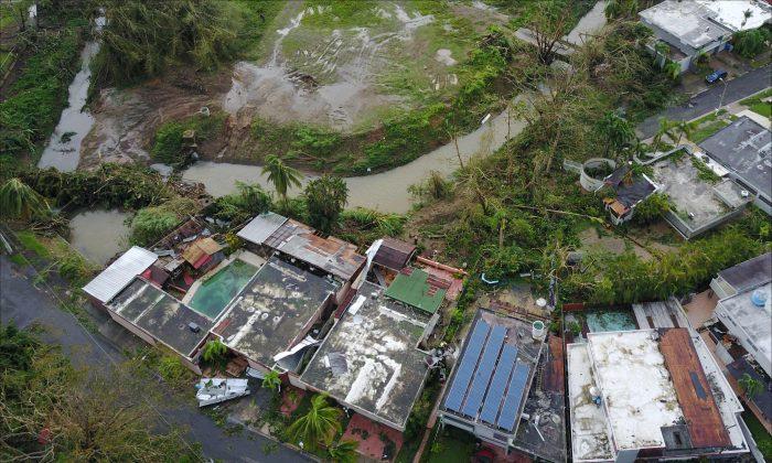 San Juan Mayor Calls Hurricane Disaster ‘A People-Are-Dying’ Story