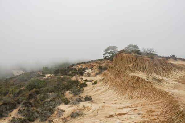 Torrey Pines State Natural Reserve in La Jolla, Calif., on Aug. 3, 2017. (Channaly Philipp/The Epoch Times)