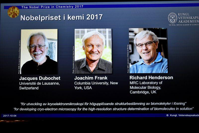 Microscope Trailblazers Win Chemistry Nobel for ‘Freeze Framing’ Life