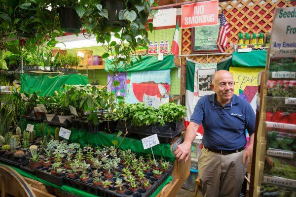 Richard Liberatore sells potted herbs and imported Italian seeds at the Arthur Avenue Retail Market. (Benjamin Chasteen/The Epoch Times)