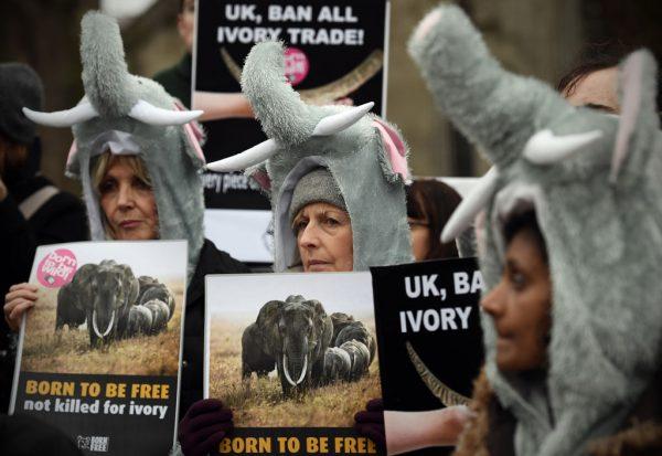 Protesters in elephant outfits take part in a demonstration against the ivory trade on Feb. 6, 2017 in London. (Carl Court/Getty Images)