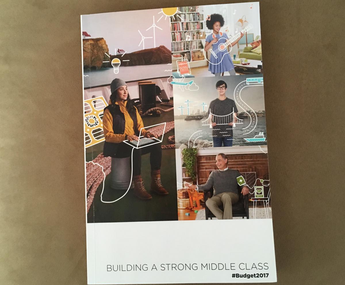Federal Govt Budget Plan Gets $170,000 Book Cover