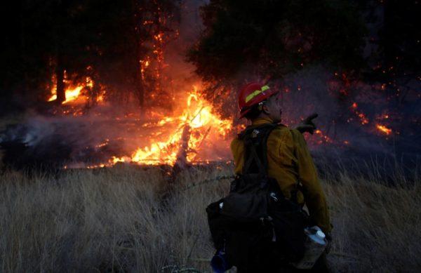Firefighters battle a wildfire near Santa Rosa, Calif., on Oct. 14, 2017. (REUTERS/Jim Urquhart)