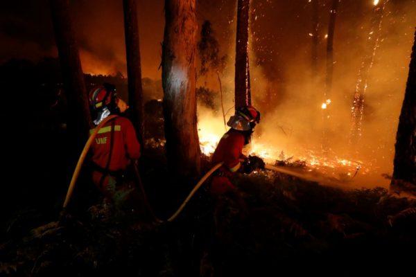 Firefighters from the Military Emergency Unit (UME) work to put out a forest fire near As Nieves, northern Spain on Oct. 15, 2017. (Spanish Defence Ministry/UME/Luismi Ortiz/Handout via REUTERS)