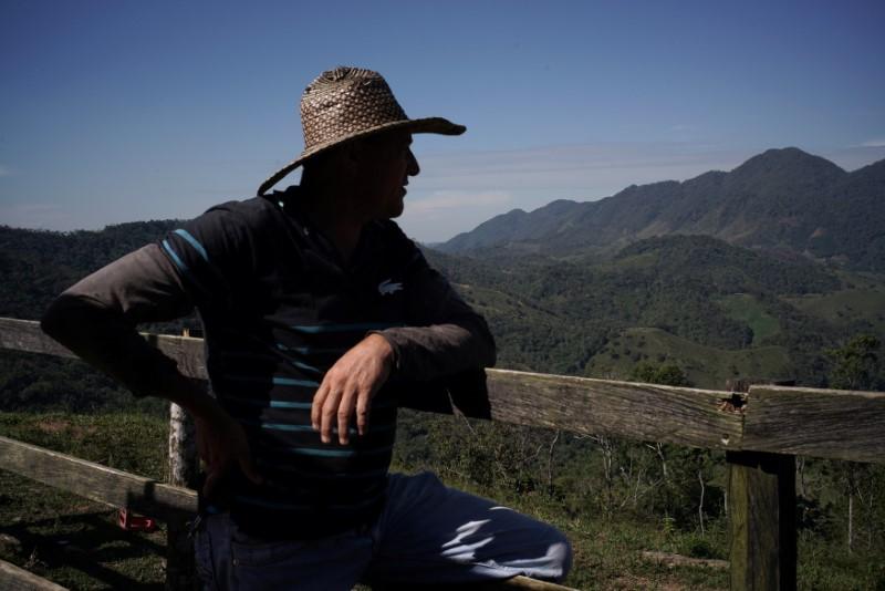 Peace Gives Colombian Coffee an Extra Shot