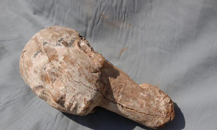 Uncovered 4,000-Year-Old Wooden Head Thought to Be of Egypt’s Queen Ankhnespepy II