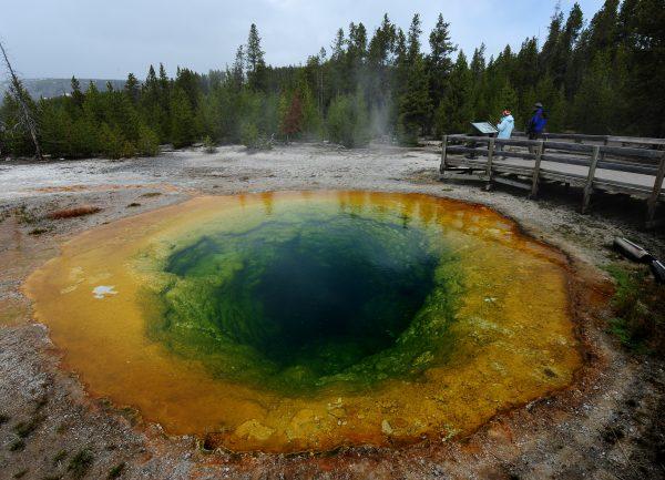 The Morning Glory hot spring in the Yellowstone National Park, Wyoming, on June 2, 2011. (Mark Ralston/AFP/Getty Images)