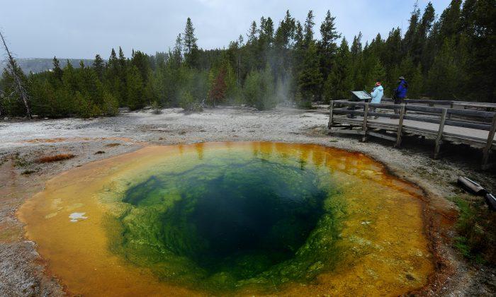 Noisy Yellowstone Geyser Erupts for the First Time in Years