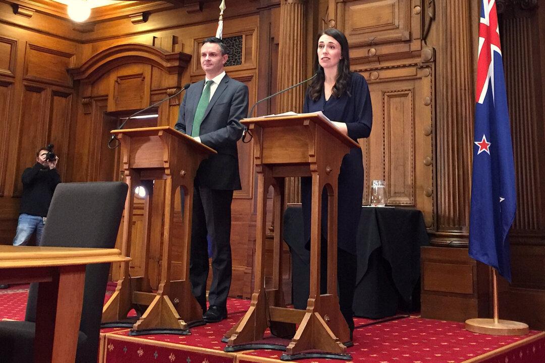 New Zealand Green Party Leader Resigns