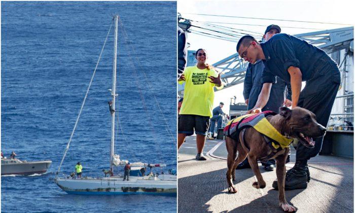 2 Americans And Their Dogs Rescued After Being Lost 5 Months in Pacific Ocean