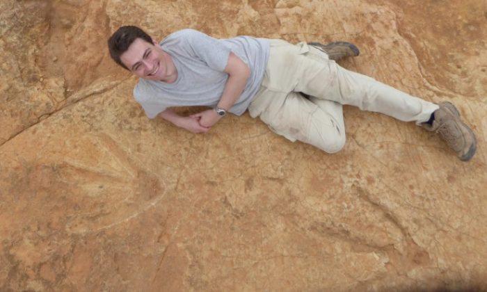 Fossil Footprints Reveal Existence of Big Early Dinosaur Predator