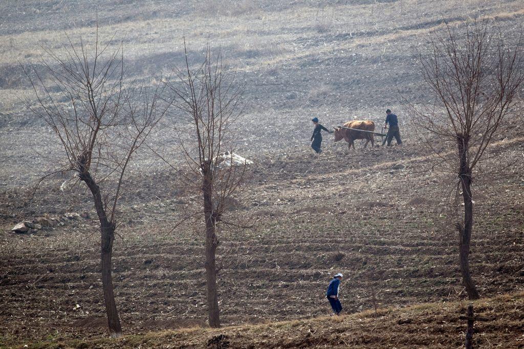 North Korean farmers work in the fields near Sinuiju, opposite the Chinese border city of Dandong, on April 15, 2017. A drought in spring has impacted this year’s harvest in North Korea. (JOHANNES EISELE/AFP/Getty Images)