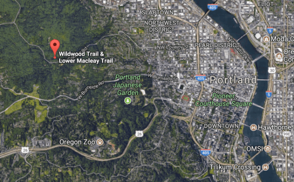 The approximate location where the bodies of Annieka Vaughan and Zachary Petersen were found in Forest Park, Northwest Portland, Ore., on Nov. 8, 2017. (Screenshot via Google Maps)