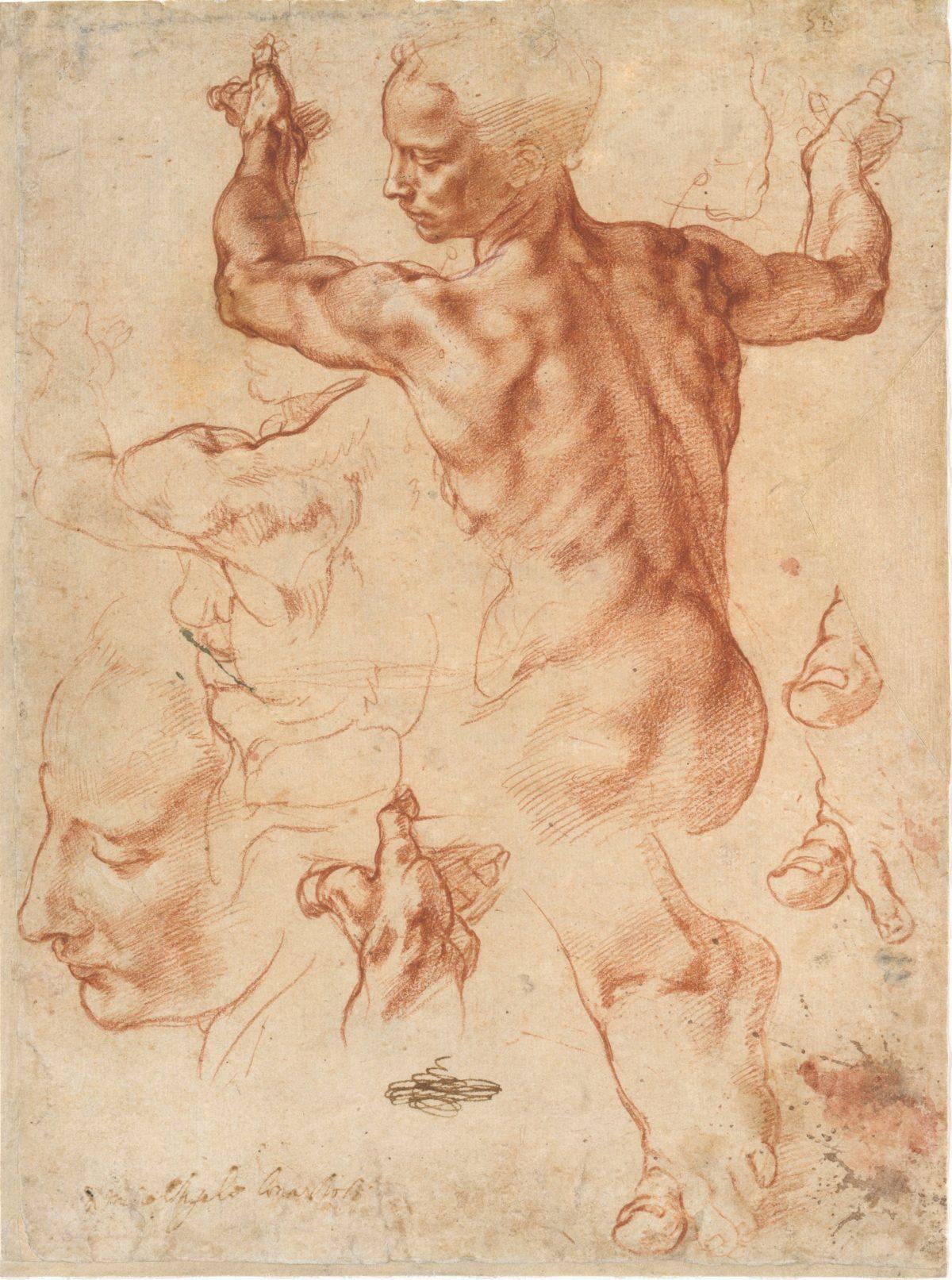 Studies for the Libyan Sibyl, circa 1510–1511, by Michelangelo Buonarroti (1475–1564). Red chalk, with small accents of white chalk on the left shoulder of the figure, sheet. 11 3/8 inches by 8 7/16 inches. The Metropolitan Museum of Art, purchase, Joseph Pulitzer bequest. (The Metropolitan Museum of Art)
