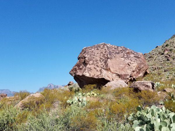 Ancient rock with petroglyphs in Big Bend National Park. (Jo Ann Holt)