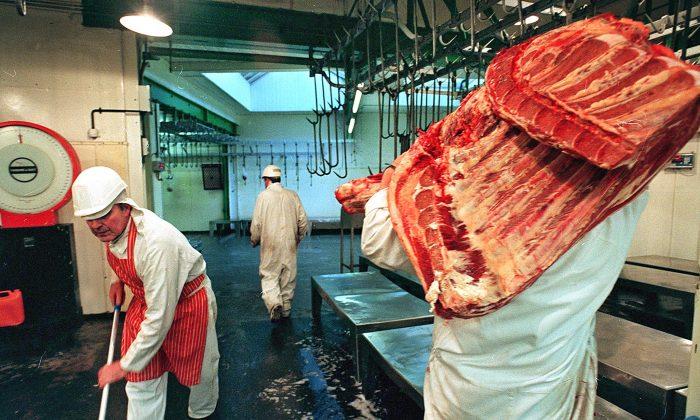 CCTV Cameras to Be Made Compulsory in Slaughterhouses