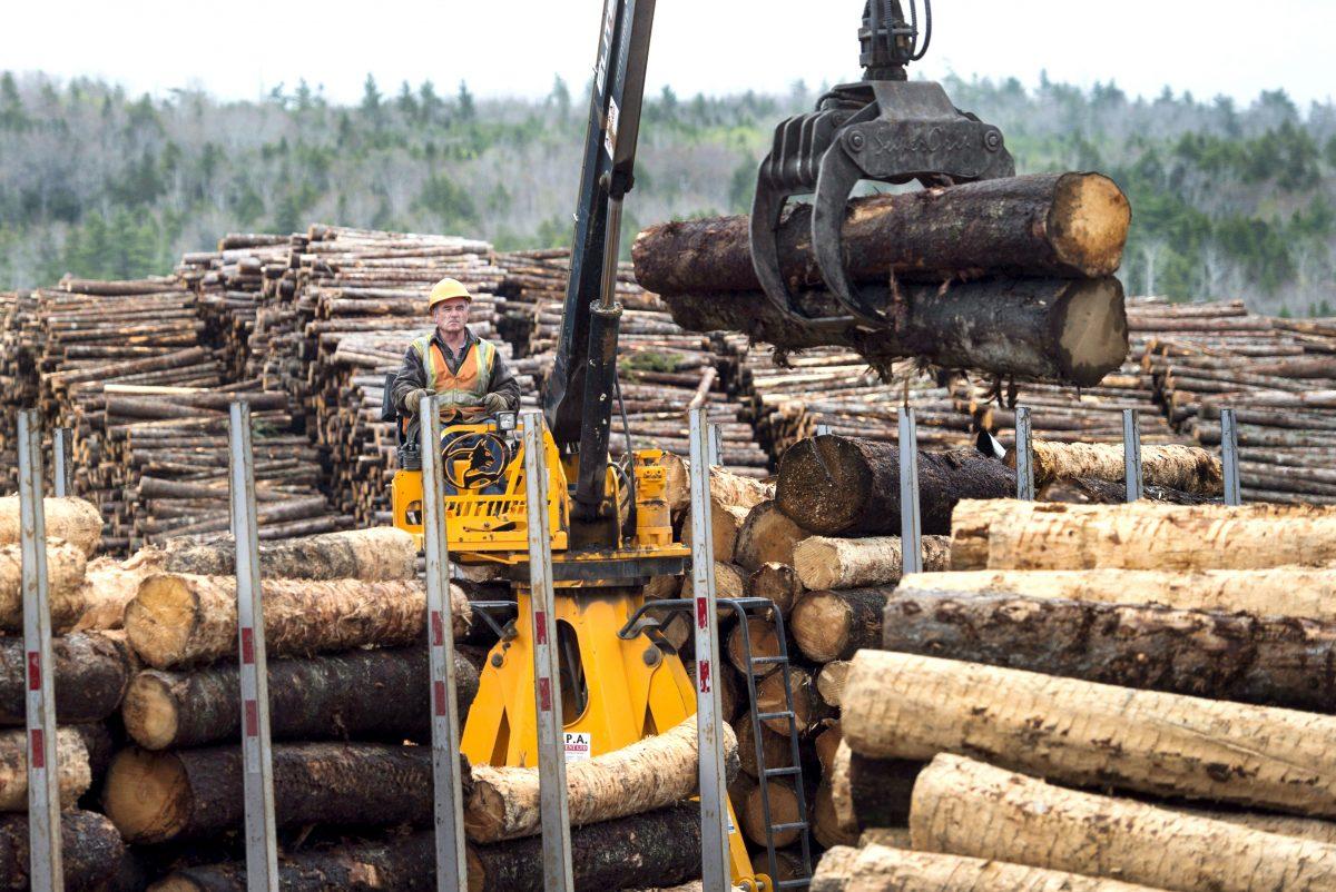 A worker loads logs at Ledwidge Lumber Co. in Halifax, Canada, on May 10, 2017. (The Canadian Press/Darren Calabrese)