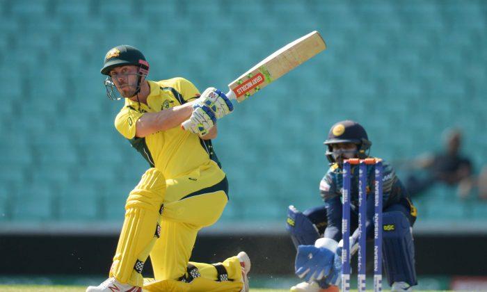 Hung Hom JD Jaguars Announce the Signing of Top Australian Player for 2018 Hong Kong T20-Blitz