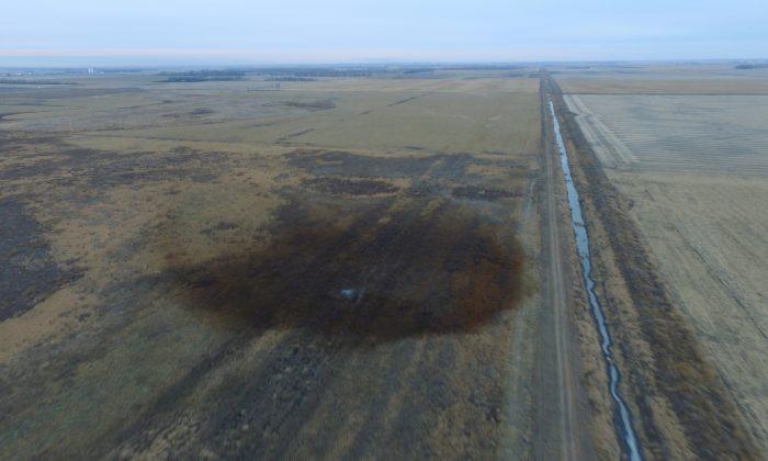 TransCanada Recovers 44,400 Gallons of Oil From Keystone Pipeline Spill Site
