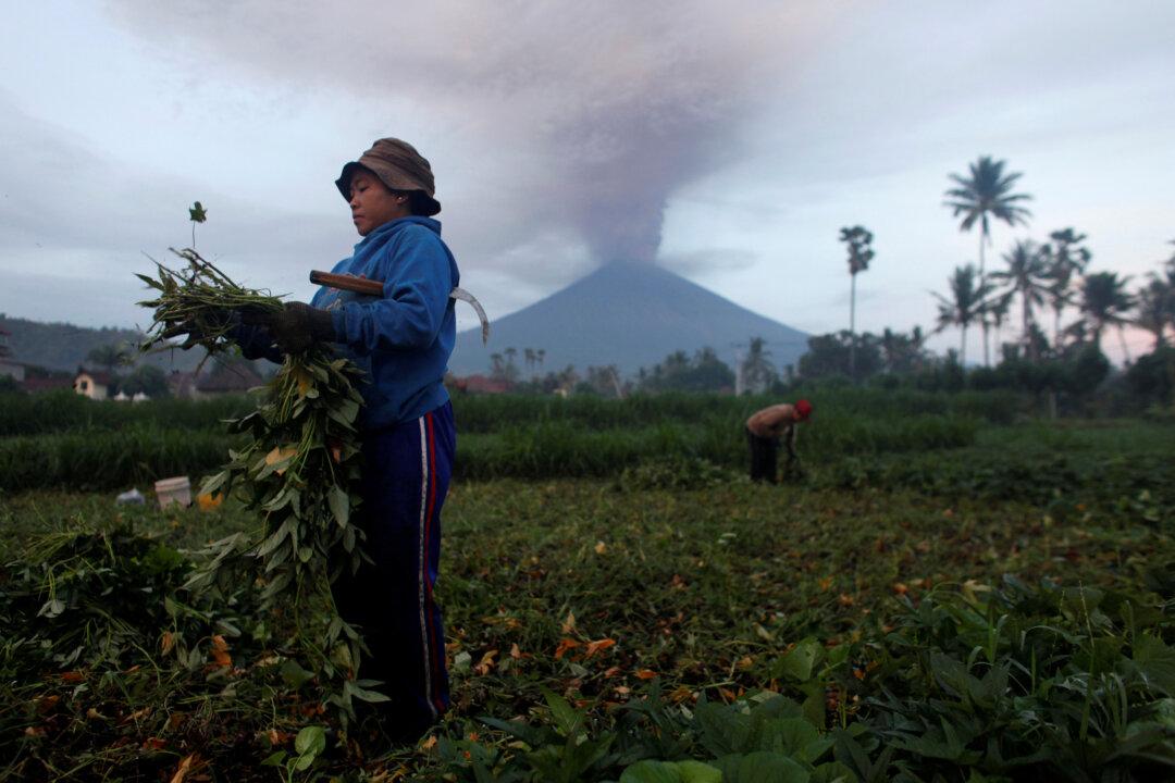Thousands Stranded as Bali Volcano Alert Raised to Highest Level