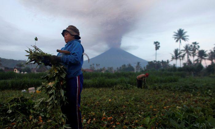 Thousands Stranded as Bali Volcano Alert Raised to Highest Level