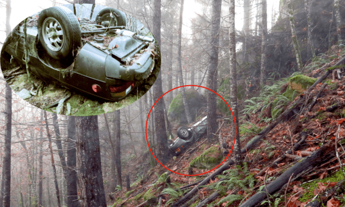 Porsche Stolen 27 Years Ago Found in Oregon Forest