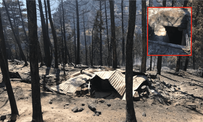 Utah Wildfire Uncovers 2 Miles of Doomsday Bunkers With Grenades, Guns, and Food