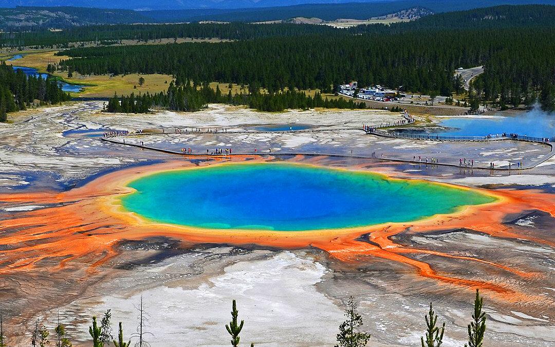 New Thermal Activity Emerges in Yellowstone National Park