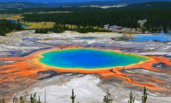 New Thermal Activity Emerges in Yellowstone National Park