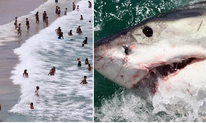 Australian Beach Rips: Much More Deadly Than Man-Eating Sharks