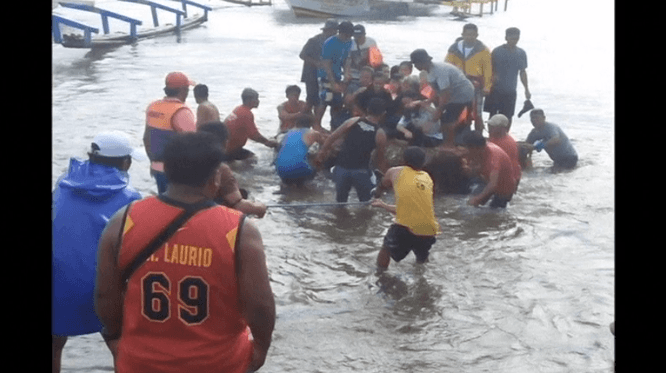 Philippine Ferry Capsizes With 251 on Board, Four Dead