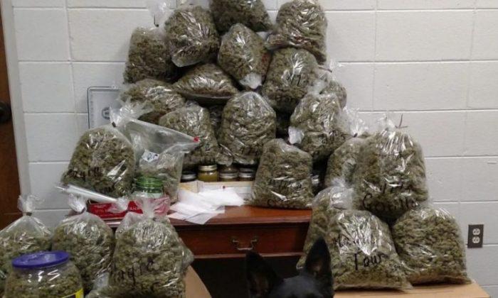 Elderly Couple Arrested With 60 Pounds of Marijuana ‘Christmas Presents’ ID’d as Parents of Top Prosecutor