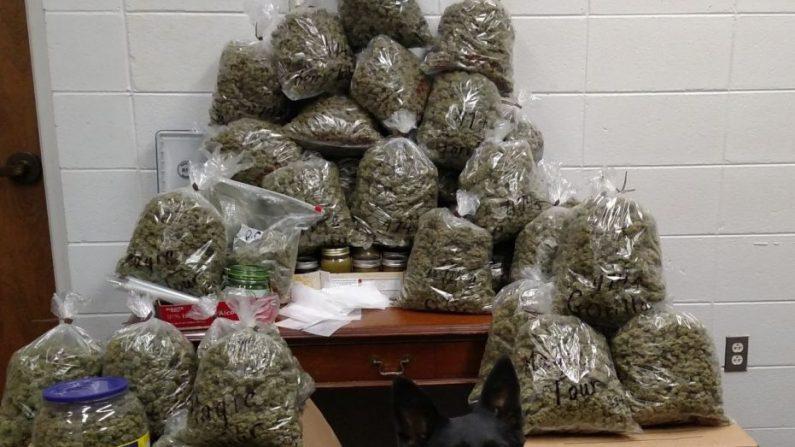 Elderly Couple Arrested With 60 Pounds of Marijuana ‘Christmas Presents’ ID’d as Parents of Top Prosecutor