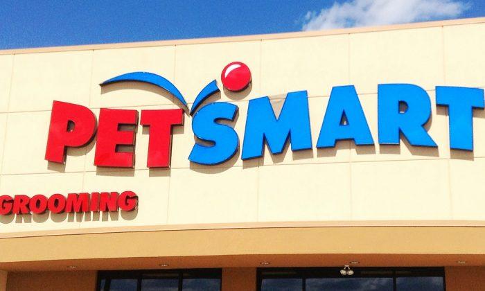 Pit Bull Bites, Seriously Injures PetSmart Worker During Routine Grooming Session