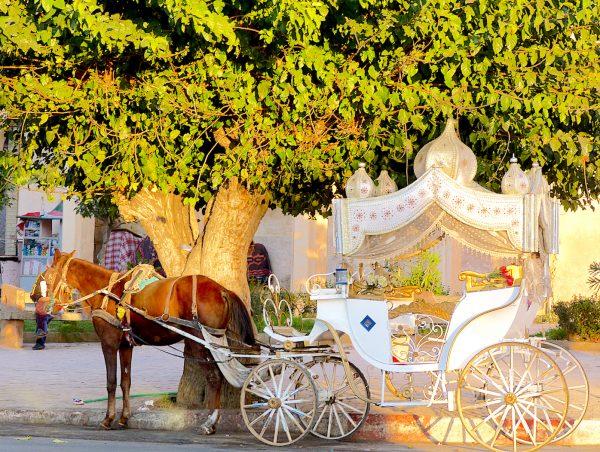 A horse-drawn carriage in Marrakech. (Barbara Angelakis)