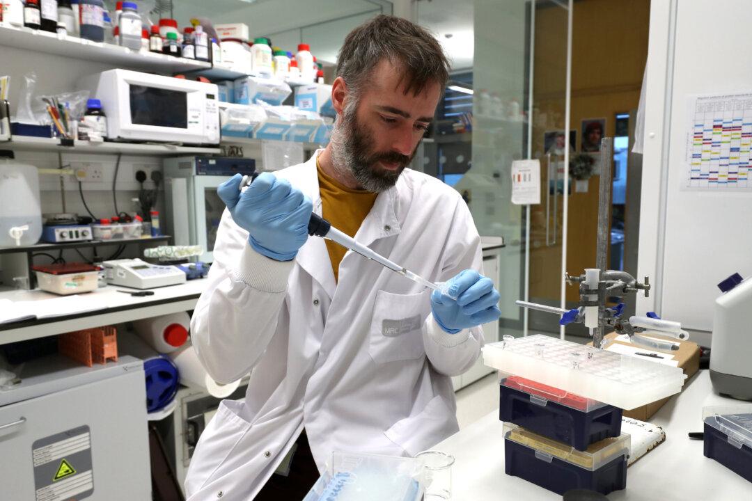 How Alcohol Damages Stem Cell DNA and Increases Cancer Risk