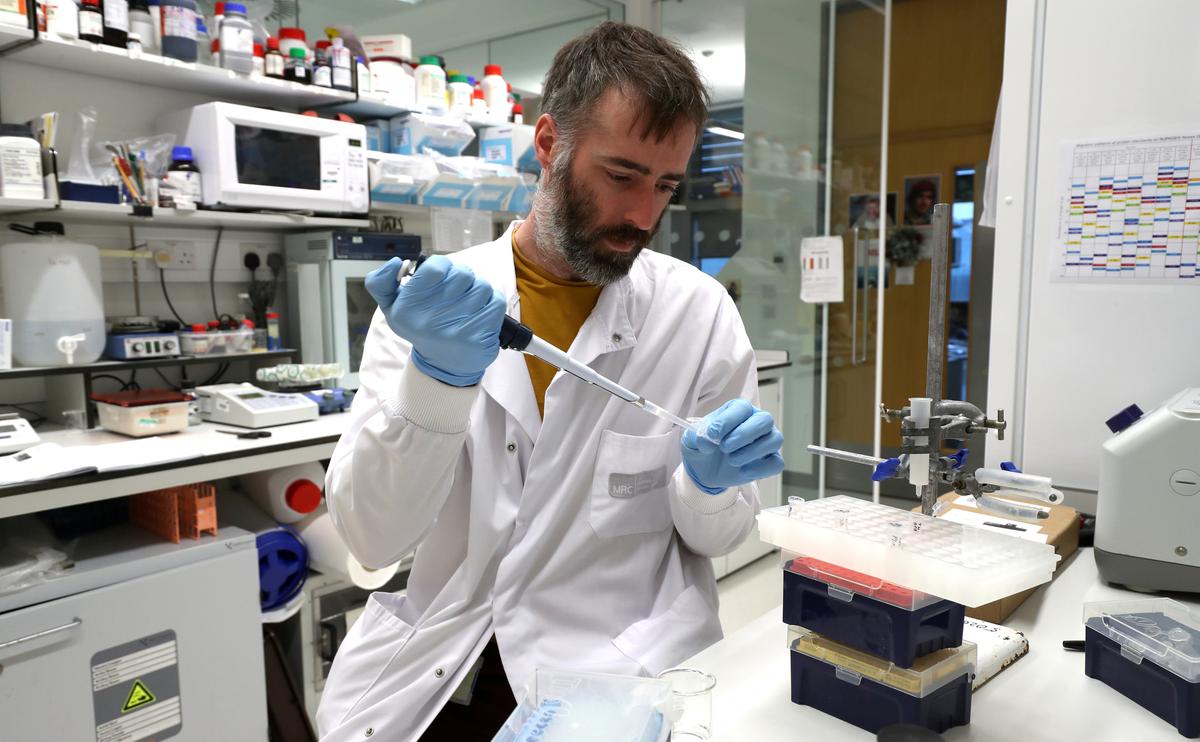 How Alcohol Damages Stem Cell DNA and Increases Cancer Risk