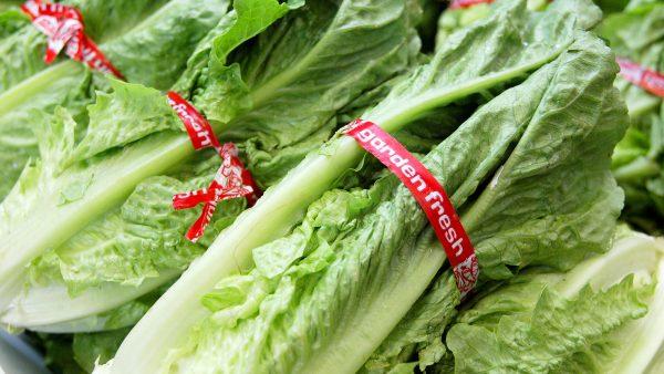 Romaine lettuce in a file photo. (Justin Sullivan/Getty Images)